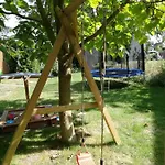 Am Apfelbaum *