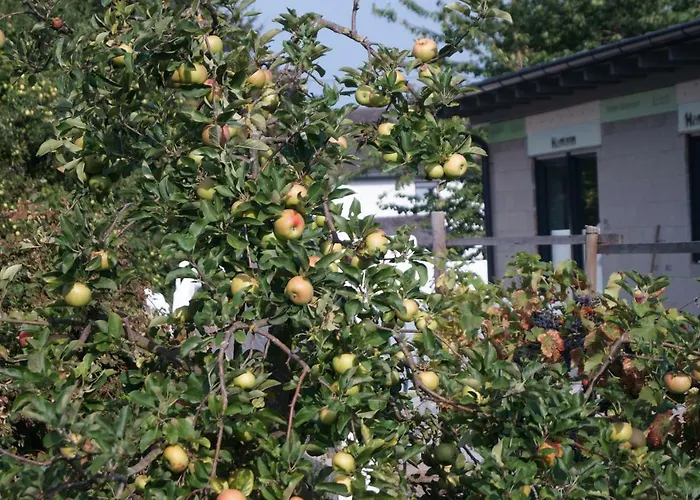 Am Apfelbaum Andernach